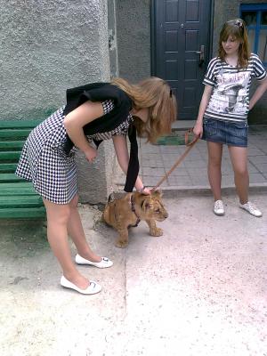 Прикрепленное изображение: Фото0059.jpg